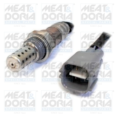 Oxygen Sensor
